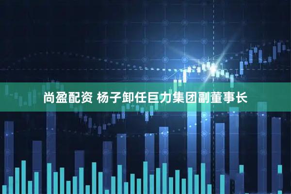 尚盈配资 杨子卸任巨力集团副董事长